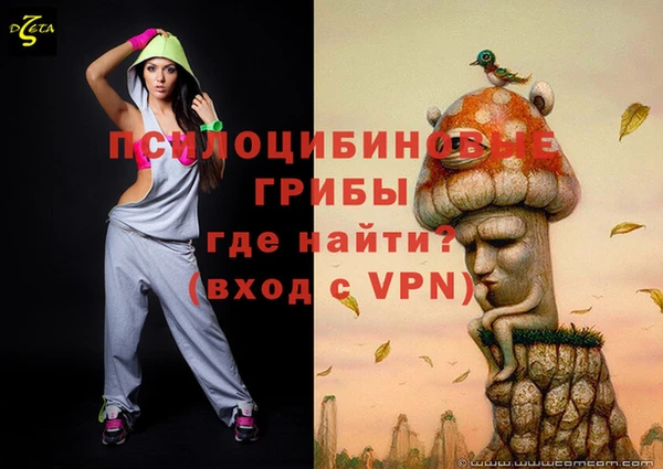 ешки Козельск