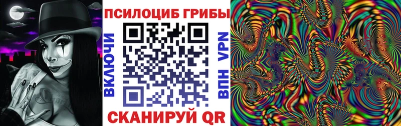 Галлюциногенные грибы Psilocybe  Купить  Губаха 